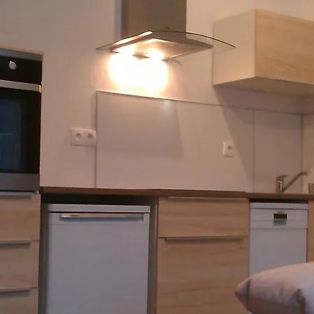 Sunny, Fully Furnished Type With Terrace * Plzen