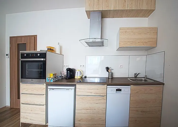 Sunny, Fully Furnished Type With Terrace *