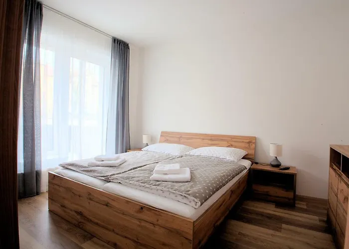Sunny, Fully Furnished Type With Terrace Apartment Plzen