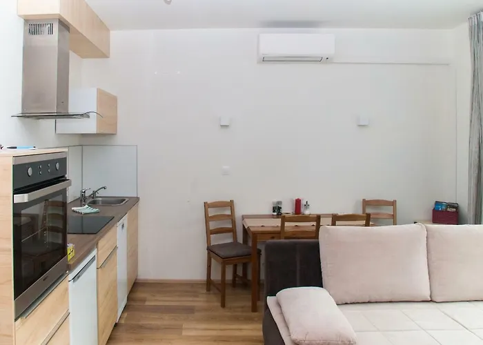 Sunny, Fully Furnished Type With Terrace